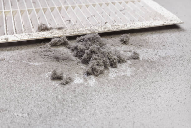 Best Professional Duct Cleaning Services  in Hollister, MO